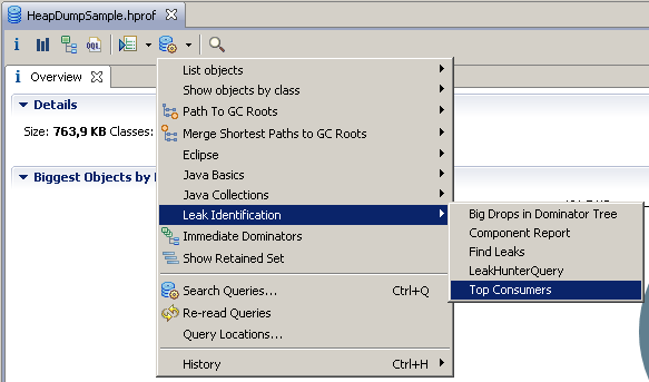 screen shot of the list of biggest objects