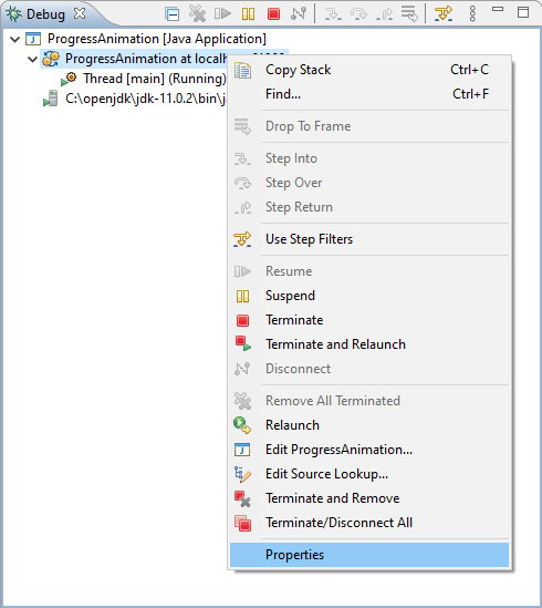 Debug Target Properties