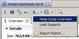 Heap Dump Overview menu item from Run Expert System Test drop-down menu.
