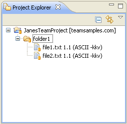 Screenshot of Fred's Project Explorer after checkout